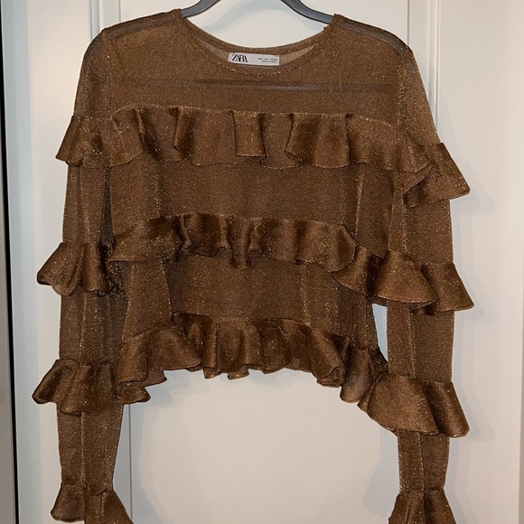 ZARA | Cropped Ruffled & Sheer Metallic Top - Picture 3 of 6